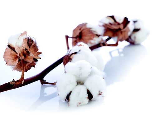 lastofa cotton - Knee high ( 23-32 mmHG) - physio supplies canada